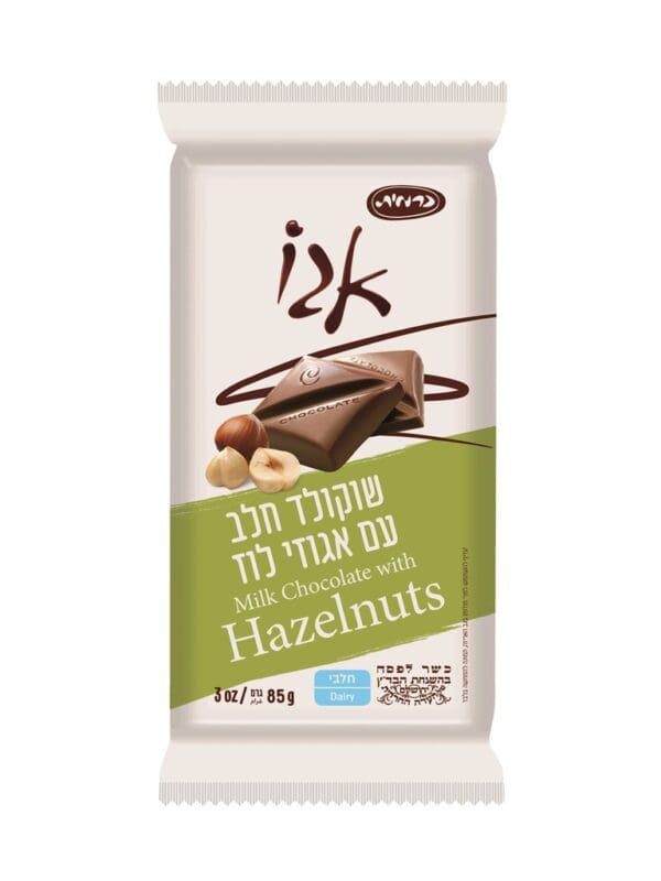 Carmit Hazelnut Milk Chocolate Bar